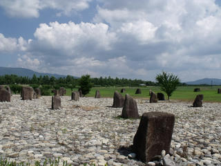 DSCF5520.JPG