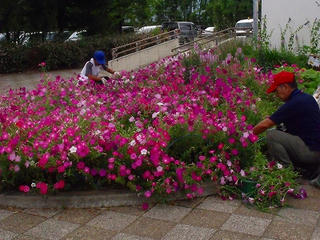 DSCF5569.jpg