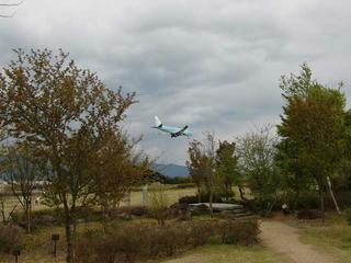 CIMG7825.jpg