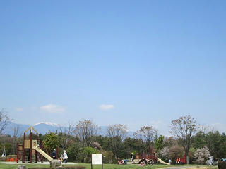 IMG_1243.jpg