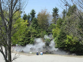 IMG_1247.jpg