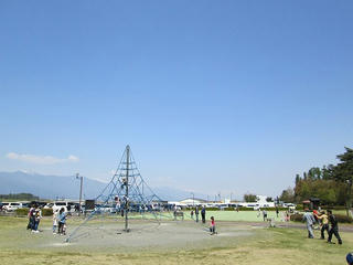 IMG_1249.jpg