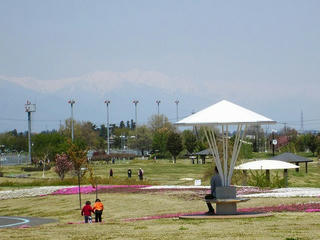 IMG_1252.jpg