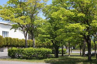 IMG_4361-02.jpg