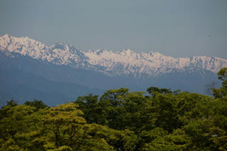 IMG_4371-02.jpg