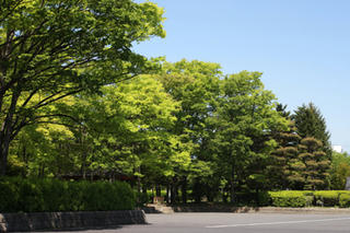 IMG_4380-02.jpg
