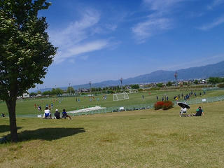 P5183361.jpg