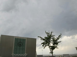 IMG_1383.jpg