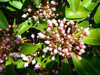 DSCF0847.jpg