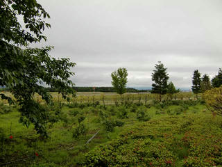 CIMG7945.jpg