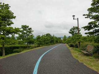 CIMG7960.jpg