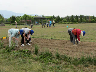 IMG_0480-01.jpg