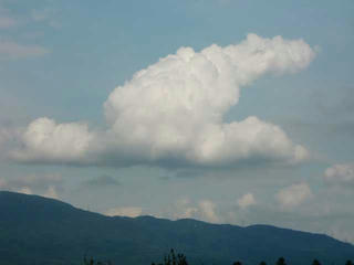 CIMG8372.jpg