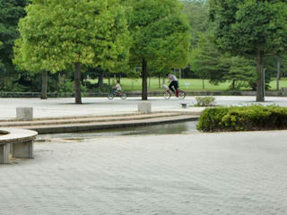 CIMG8381.jpg