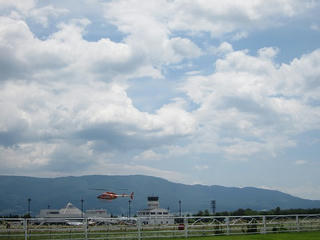 IMG_0120.jpg