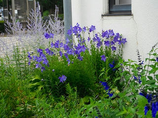 DSCF1298.jpg