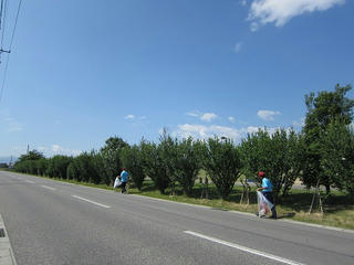 IMG_0140.jpg