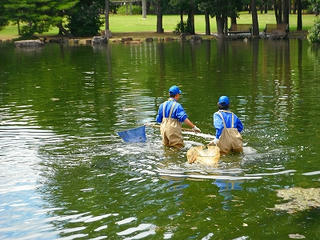 DSCF1359.jpg