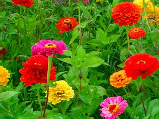 DSCF1374.jpg