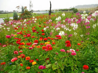 DSCF1367.jpg