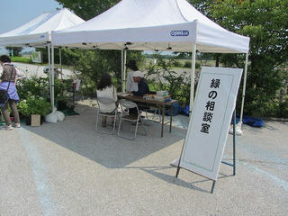 31d9a478.jpeg