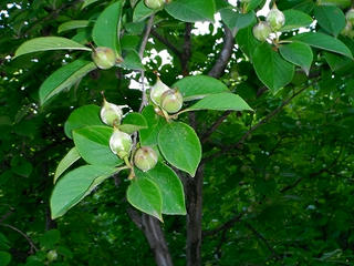 DSCF1444.jpg