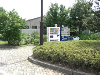 CIMG1236.JPG