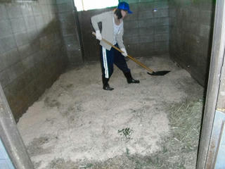 DSCF1481.jpg