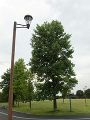 CIMG9059.jpg