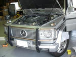 DSC09697.JPG