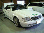 DSC09965.JPG