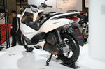 h_pcx-2.jpg