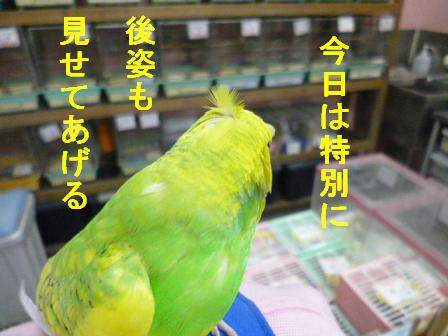 P1010115.JPG