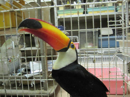 IMG_8020.JPG