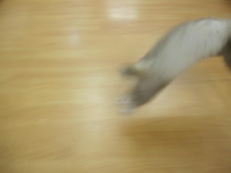 IMG_8472.JPG