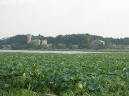 CIMG4675.JPG