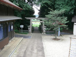 沼南の森２
