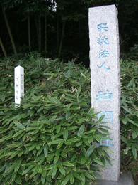 沼南の森５