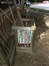 展望台杖