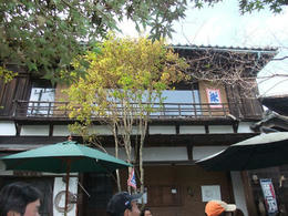 阿佐美家屋