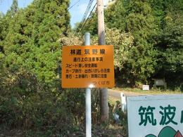 林道2