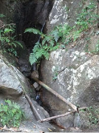 山水
