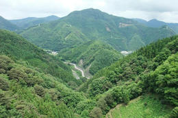 橋3