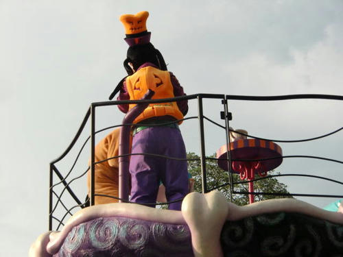 CIMG7564.jpg