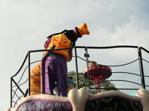 CIMG7565.jpg