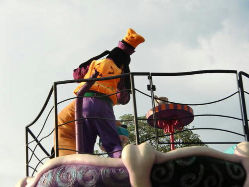 CIMG7566.jpg