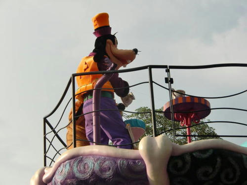 CIMG7569.jpg