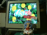 びんちょうタン