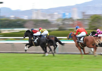 もっと明るければ