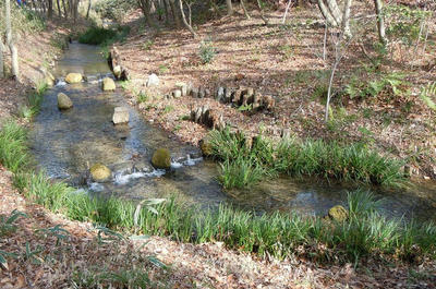 小川のせせらぎ